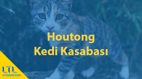 Kedi Severler Bu Mekana Bayılacak - Houtong Kedi Kasabası Thumbnail