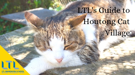 Houtong Kedi Kasabası LTL Kılavuzu