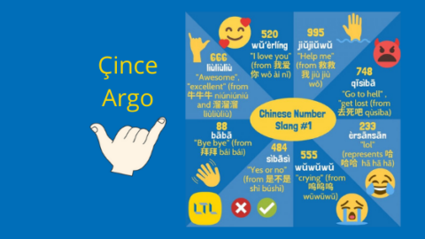 Çince Argo 🤫 Okulda Öğretilmeyen Şeyler Thumbnail